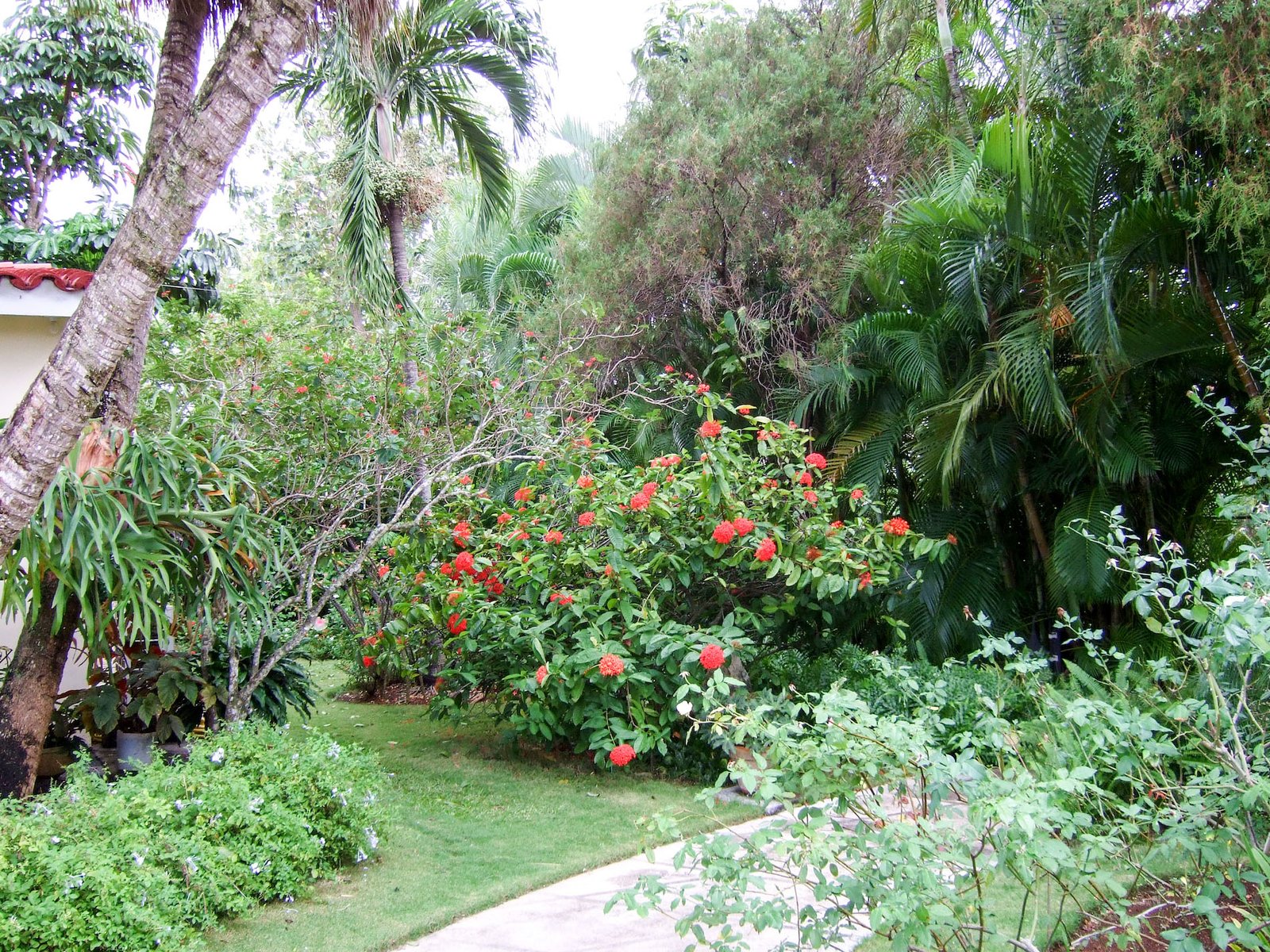 Cuba Home Garden 19